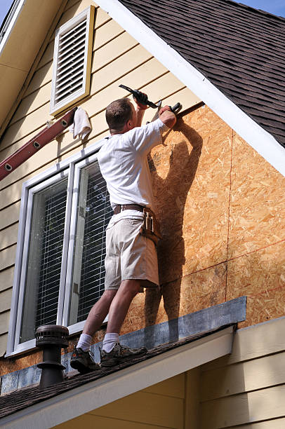 Affordable Siding Repair and Maintenance Services in Walnut, IL